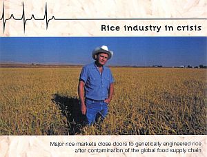 Rice_industry_in_crisis
