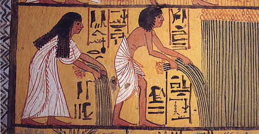Grundlegend verschiedene biologische und soziologische Hintergrundprozesse. Bild: Wikimedia